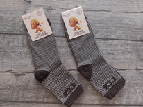 ����� ������� �.22-24 ������ ��������