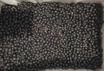 ������������ ������ ������� ������������