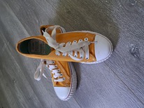 ���� ��������