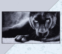 ��������� �������� ���� ������� 70*130��