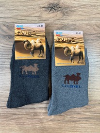 �����, 1 ���� (�����, ��������� ������)