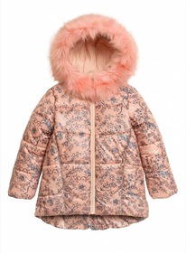 ������ ��� ������� �� 5 ��� Pelican