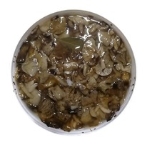 �����  ������ ������������ ������� (�����, ������ �� 4��)