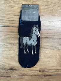 �����, 1 ���� (��������)