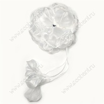 ���� ������ 12��