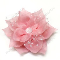 ���� �������� 12��