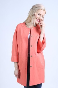 ���� ������  ����������