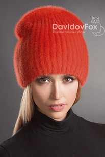 ����� ���� �.55 ����� ���� DavidovFox